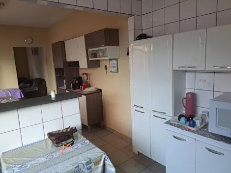 Alugar Casa / Padr&atilde;o em S&atilde;o Jos&eacute; do Rio Preto R$ 800,00 - Foto 14
