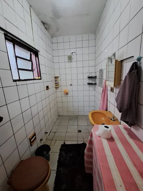 Alugar Casa / Padr&atilde;o em S&atilde;o Jos&eacute; do Rio Preto R$ 800,00 - Foto 11