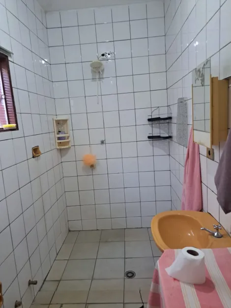 Alugar Casa / Padr&atilde;o em S&atilde;o Jos&eacute; do Rio Preto R$ 800,00 - Foto 12