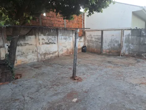 Alugar Casa / Padr&atilde;o em S&atilde;o Jos&eacute; do Rio Preto R$ 800,00 - Foto 19