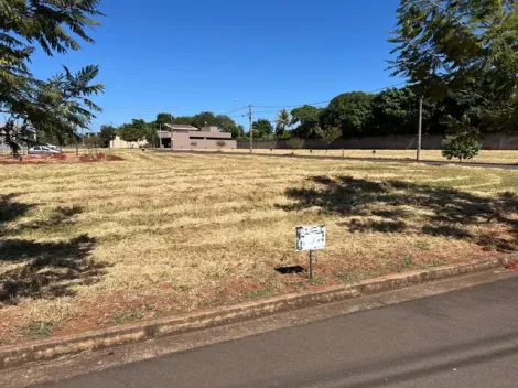 Comprar Terreno / Condom&iacute;nio em Ipigu&aacute; R$ 105.000,00 - Foto 2