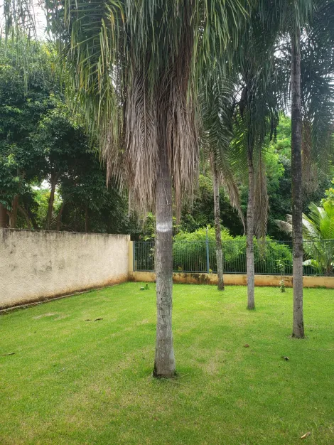 Comprar Rural / Rancho em Guaraci R$ 450.000,00 - Foto 5