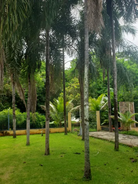 Comprar Rural / Rancho em Guaraci R$ 450.000,00 - Foto 7