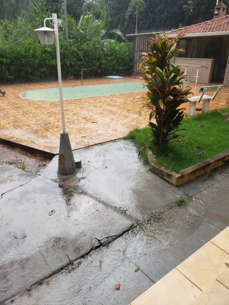 Comprar Rural / Rancho em Guaraci R$ 450.000,00 - Foto 15