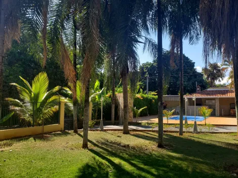 Rural / Rancho em Guaraci 