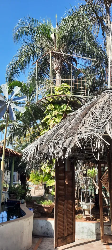 Comprar Rural / Ch&aacute;cara em S&atilde;o Jos&eacute; do Rio Preto R$ 900.000,00 - Foto 43
