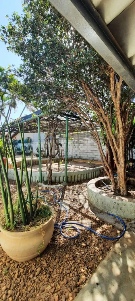 Comprar Rural / Ch&aacute;cara em S&atilde;o Jos&eacute; do Rio Preto R$ 900.000,00 - Foto 7