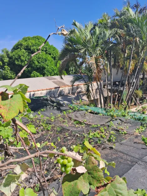 Comprar Rural / Ch&aacute;cara em S&atilde;o Jos&eacute; do Rio Preto R$ 900.000,00 - Foto 14