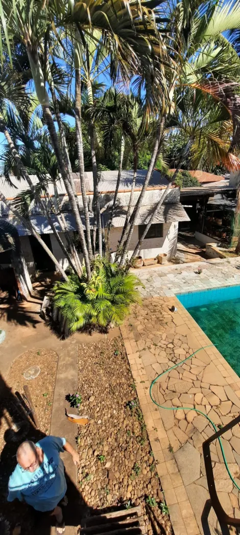 Comprar Rural / Ch&aacute;cara em S&atilde;o Jos&eacute; do Rio Preto R$ 900.000,00 - Foto 35