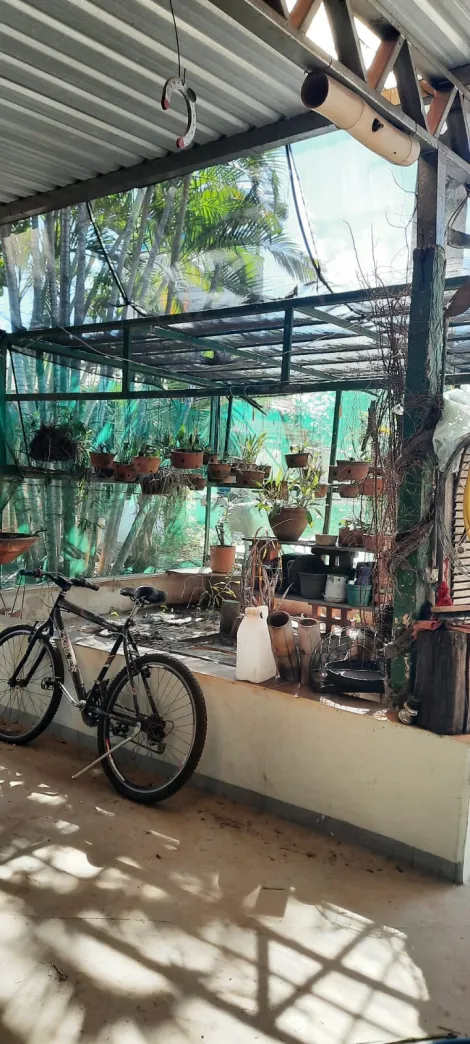Comprar Rural / Ch&aacute;cara em S&atilde;o Jos&eacute; do Rio Preto R$ 900.000,00 - Foto 40