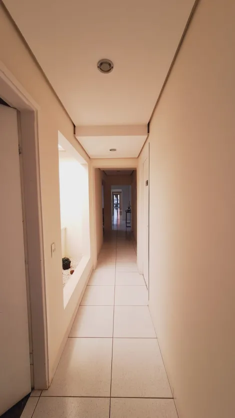 Alugar Comercial / Sala em S&atilde;o Jos&eacute; do Rio Preto R$ 1.500,00 - Foto 7