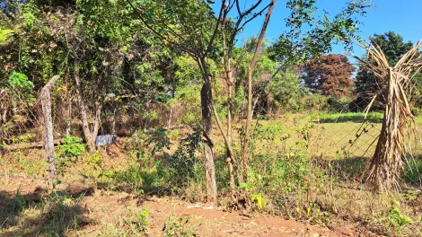 Comprar Terreno / &Aacute;rea em S&atilde;o Jos&eacute; do Rio Preto R$ 400.000,00 - Foto 3