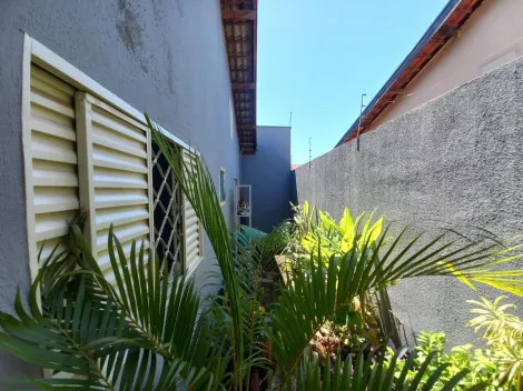 Alugar Casa / Padr&atilde;o em S&atilde;o Jos&eacute; do Rio Preto R$ 1.300,00 - Foto 20