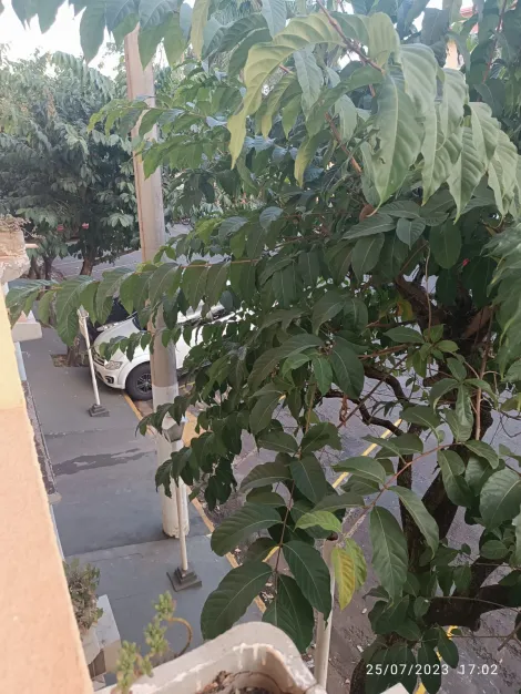 Comprar Apartamento / Padr&atilde;o em S&atilde;o Jos&eacute; do Rio Preto R$ 200.000,00 - Foto 38