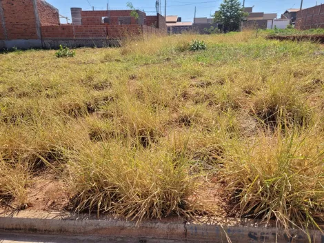 Terreno / Padr&atilde;o em S&atilde;o Jos&eacute; do Rio Preto 