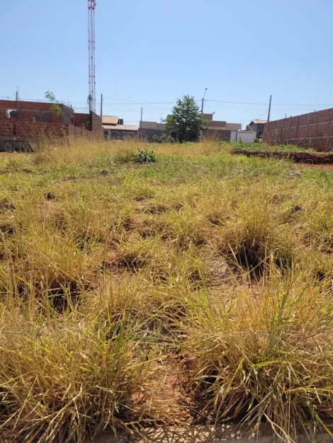 Alugar Terreno / Padr&atilde;o em S&atilde;o Jos&eacute; do Rio Preto R$ 800,00 - Foto 2