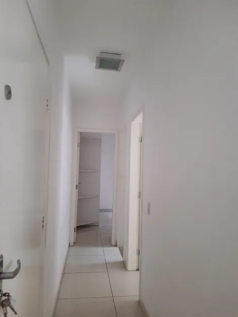 Alugar Apartamento / Padr&atilde;o em S&atilde;o Jos&eacute; do Rio Preto R$ 1.100,00 - Foto 5