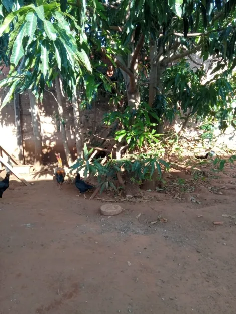 Comprar Casa / Padr&atilde;o em Catanduva R$ 140.000,00 - Foto 4