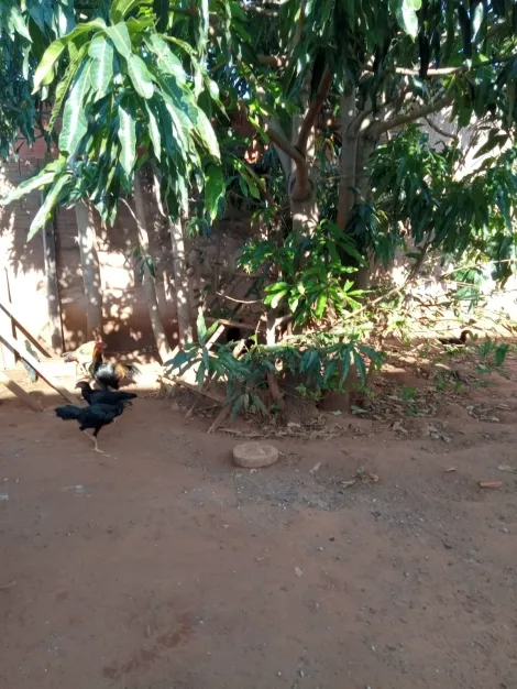 Comprar Casa / Padr&atilde;o em Catanduva R$ 140.000,00 - Foto 5