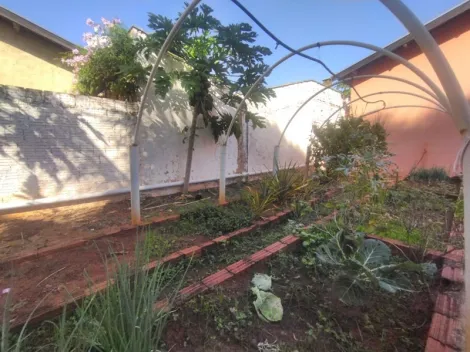 Comprar Rural / Ch&aacute;cara em Ipigu&aacute; R$ 650.000,00 - Foto 17