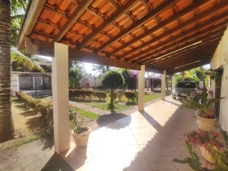 Comprar Rural / Ch&aacute;cara em Ipigu&aacute; R$ 650.000,00 - Foto 3
