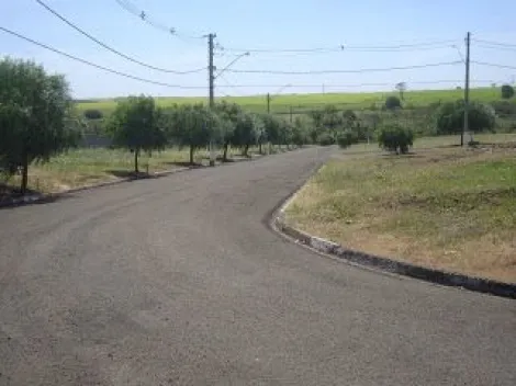 Comprar Terreno / Condom&iacute;nio em Ibir&aacute; R$ 100.000,00 - Foto 3