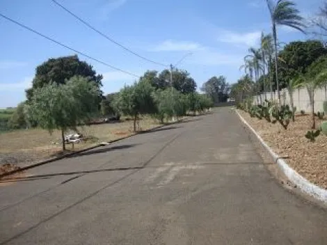 Comprar Terreno / Condom&iacute;nio em Ibir&aacute; R$ 100.000,00 - Foto 5