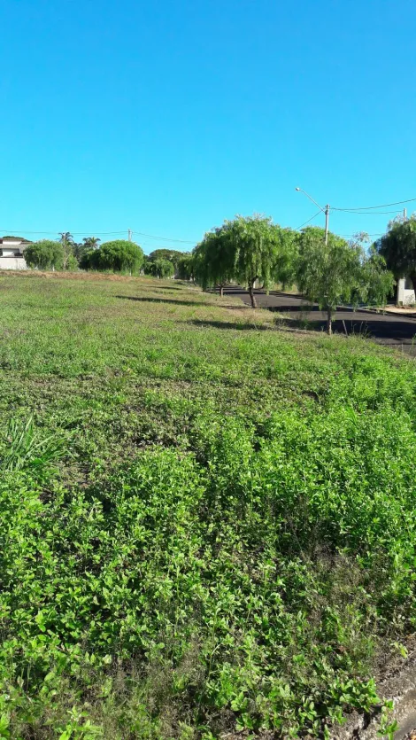 Comprar Terreno / Condom&iacute;nio em Ibir&aacute; R$ 100.000,00 - Foto 8