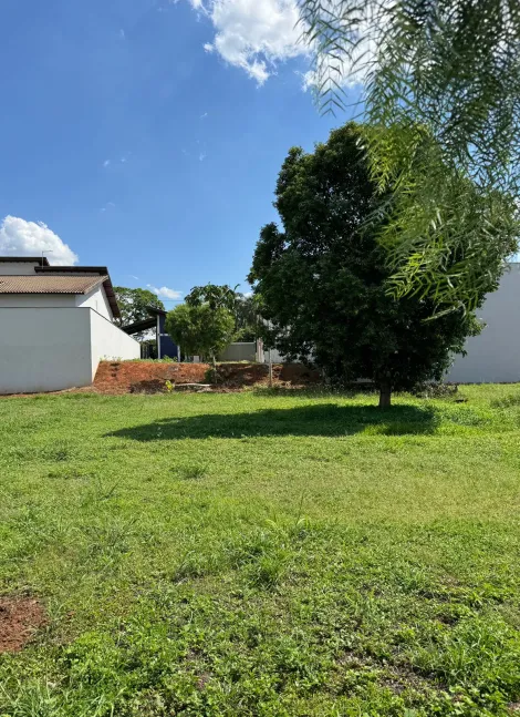 Comprar Terreno / Condom&iacute;nio em Ibir&aacute; R$ 100.000,00 - Foto 14