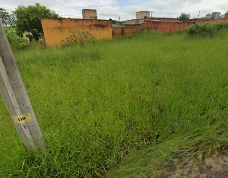 Terreno / Padr&atilde;o em S&atilde;o Jos&eacute; do Rio Preto 