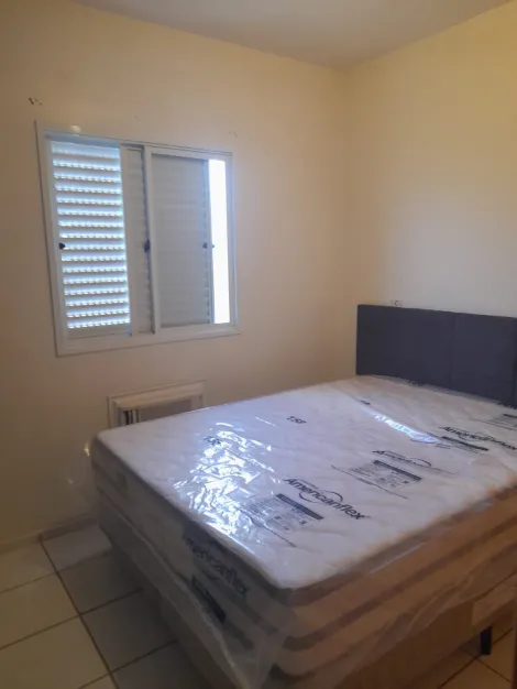 Alugar Apartamento / Padr&atilde;o em S&atilde;o Jos&eacute; do Rio Preto R$ 900,00 - Foto 3