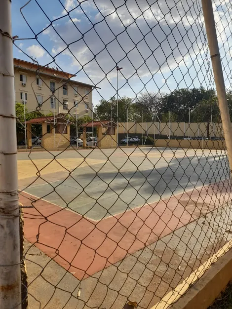 Alugar Apartamento / Padr&atilde;o em S&atilde;o Jos&eacute; do Rio Preto R$ 900,00 - Foto 11