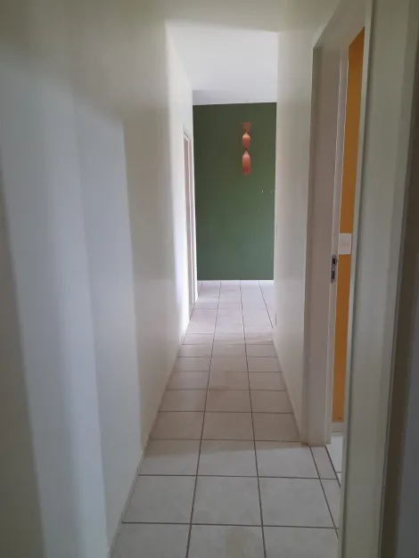 Alugar Apartamento / Padr&atilde;o em S&atilde;o Jos&eacute; do Rio Preto R$ 900,00 - Foto 8