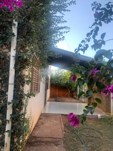 Rural / Ch&aacute;cara em S&atilde;o Jos&eacute; do Rio Preto 