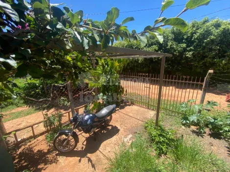 Comprar Rural / Ch&aacute;cara em S&atilde;o Jos&eacute; do Rio Preto R$ 230.000,00 - Foto 19