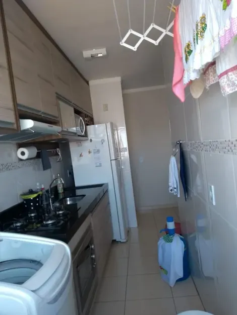 Alugar Apartamento / Padr&atilde;o em S&atilde;o Jos&eacute; do Rio Preto. apenas R$ 230.000,00
