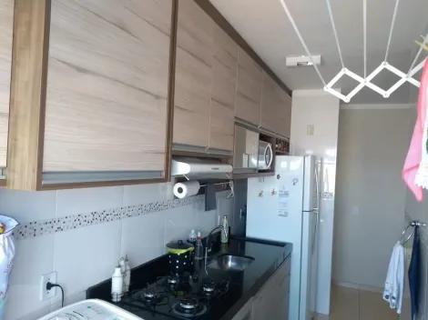 Comprar Apartamento / Padr&atilde;o em S&atilde;o Jos&eacute; do Rio Preto R$ 230.000,00 - Foto 3