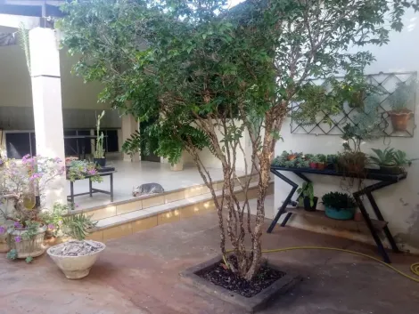 Comprar Casa / Padr&atilde;o em S&atilde;o Jos&eacute; do Rio Preto - Foto 16