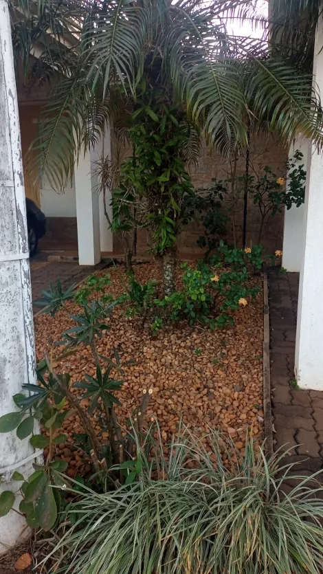 Comprar Casa / Condom&iacute;nio em S&atilde;o Jos&eacute; do Rio Preto R$ 800.000,00 - Foto 19