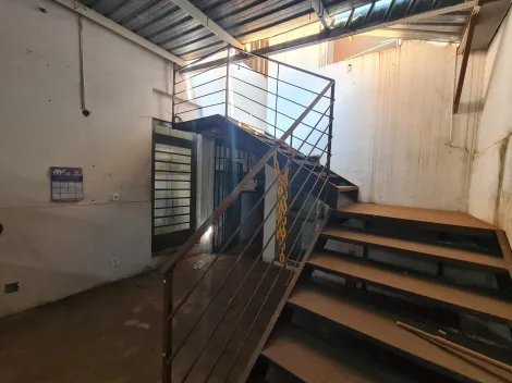 Alugar Comercial / Casa Comercial em S&atilde;o Jos&eacute; do Rio Preto R$ 9.000,00 - Foto 13