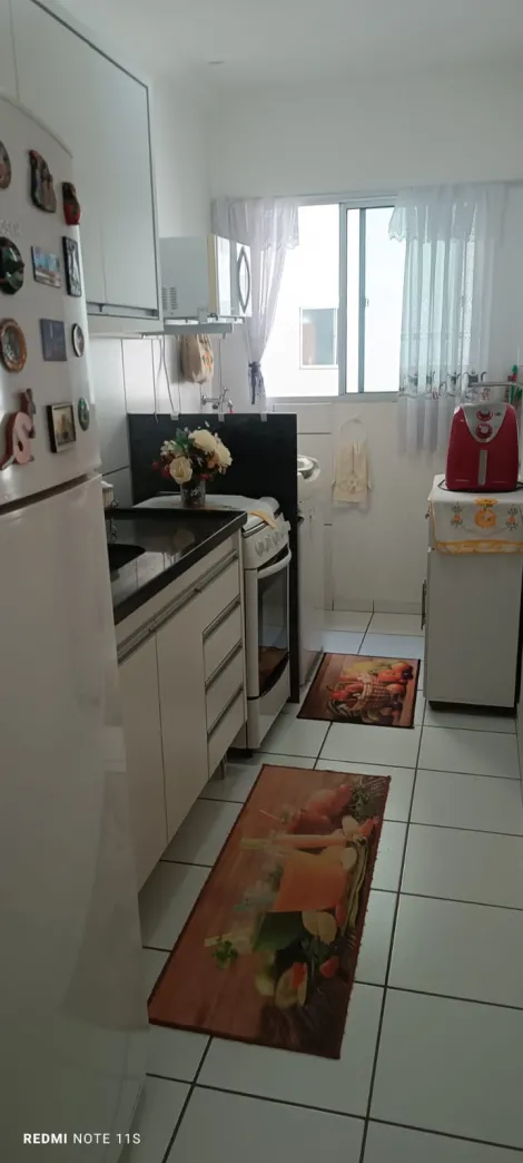 Apartamento / Padr&atilde;o em S&atilde;o Jos&eacute; do Rio Preto 