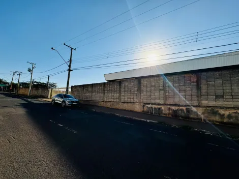 Terreno / Padr&atilde;o em S&atilde;o Jos&eacute; do Rio Preto 