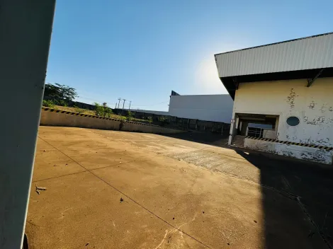 Comprar Terreno / Padr&atilde;o em S&atilde;o Jos&eacute; do Rio Preto R$ 4.000.000,00 - Foto 5