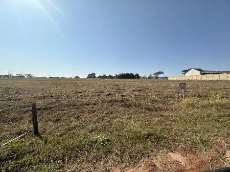 Comprar Terreno / Condom&iacute;nio em S&atilde;o Jos&eacute; do Rio Preto R$ 800.000,00 - Foto 3
