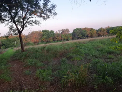 Comprar Rural / S&iacute;tio em Mirassol&acirc;ndia R$ 480.000,00 - Foto 6