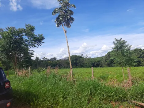 Comprar Rural / S&iacute;tio em Mirassol&acirc;ndia R$ 480.000,00 - Foto 7