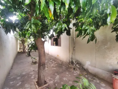 Comprar Casa / Padr&atilde;o em S&atilde;o Jos&eacute; do Rio Preto R$ 260.000,00 - Foto 11