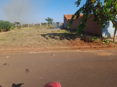 Terreno / Padr&atilde;o em Guaraci 