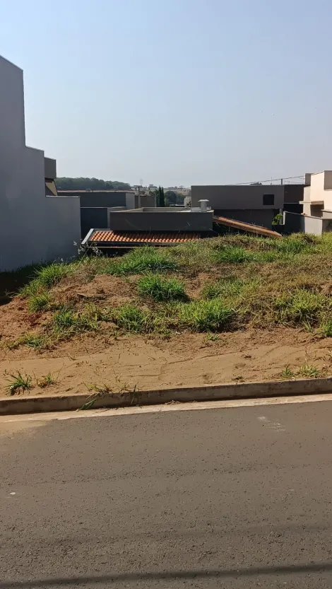 Comprar Terreno / Condom&iacute;nio em S&atilde;o Jos&eacute; do Rio Preto R$ 195.000,00 - Foto 2