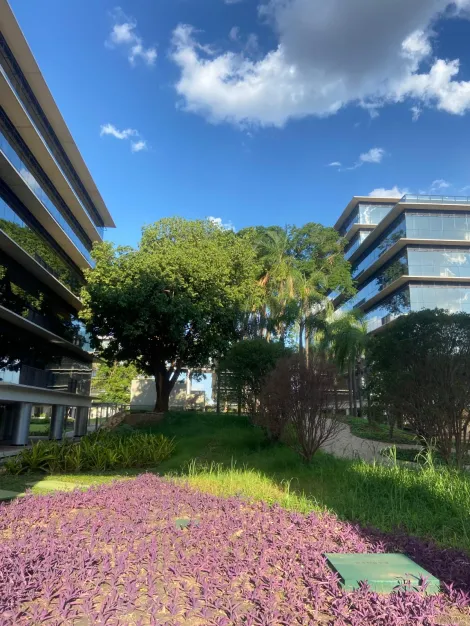 Alugar Comercial / Sala em S&atilde;o Jos&eacute; do Rio Preto. apenas R$ 4.000,00
